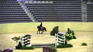2013 Pony Finals Medal Bells & Whistles