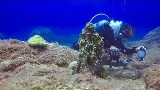 Under Sea Photo Shoot Amazing 4K video