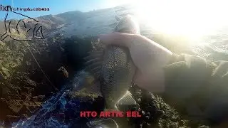 Pescando con vinilo y señuelo duro. Primeras lubinas 2018