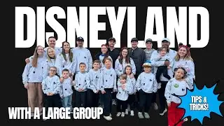 Disneyland with a Large Group | Tips & Tricks