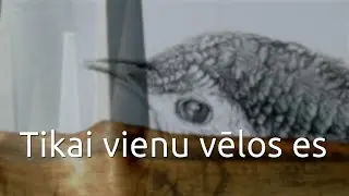 Tikai vienu vēlos es