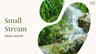SmallStream | Calm, Relaxing Nature Sound