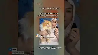Michi edisi ngomel rek #cats #lucu #catlovers