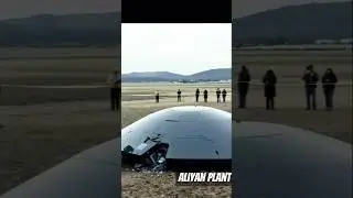 Aliyan plant  land on india