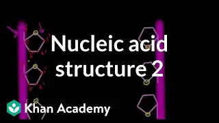 Nucleic acid structure 2