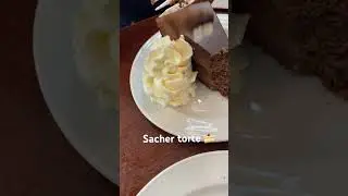 Original sacher torte of Vienna. #travel #food  #cake #vienna