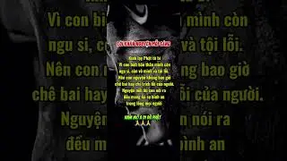Lời khấn nguyện mỗi s&aacute;ng #daophatbinhan #daophat #loivangphatdaythichphaphoa