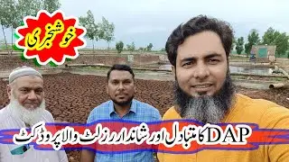 What will be replacement of DAP | An Organic Fertilizer | Benefits of Organic Fertilizer | Farming