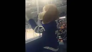 Toronto Marlies Duke the dog - Lets go Marlies chant - February 3, 2017