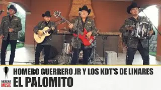 HOMERO GUERRERO JR Y LOS KDT'S DE LINARES - EL PALOMITO [TERCIAS VOL 2] Morena Music