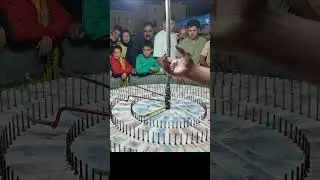 Street Game in Deylam | Coastal Faces and Silent Risks (چهره پنهان دیلم)