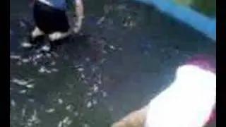 short kid trampled