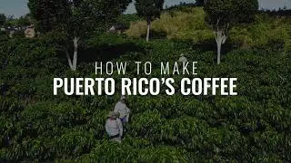 How to Make Puerto Rico&rsquo;s Coffee