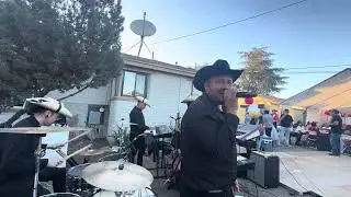 Perra Soledad - Avance Musical