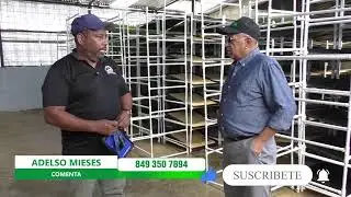 EL HACENDADO GIAN GUZMAN PRODUCE APROX EL 75%DE. LA MATERIA PRIMA DE LOS ALIMENTOS EN SU HATO ..