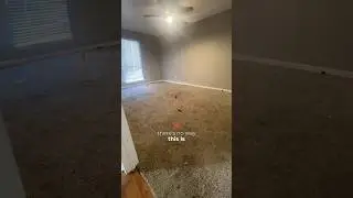 New Carpet For The Nastiest Apartment I&rsquo;ve Seen 🤢