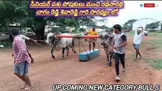 ⛳బొగ్గుల రామ ఓబుల్ రెడ్డి గారి up coming కేటగిరి బ్లాక్ టైగర్స్ బేటా