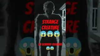 So scarry creature caught on cam5