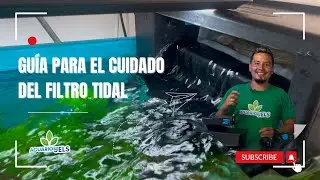 Pasos esenciales para instalar un filtro Tidal