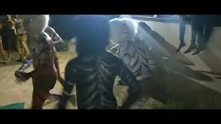 Chembebeliyur Wildest Cats 2019 Promo 2