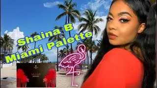 Shaina B Miami Eyeshadow Palette Tutorial