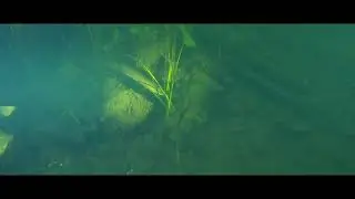 Green Lagoon Arlesey