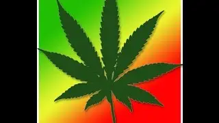 Time 4 Hemp - 03/08/16