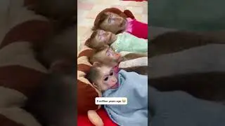 Most funny video 😂 #asifkashi #funny #funnyreel #viral