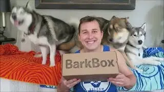 BarkBox Unboxing | July 2017