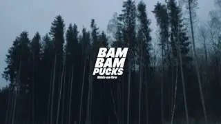 Bearings BamBam pucks ABEC 9