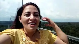 Turismo em Manaus - Reserva Florestal Adolpho Ducke.