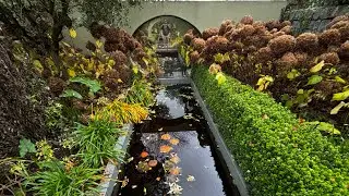 Delta sensory Gardens