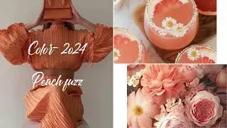 pantone color of the year 2024  :  peach Fuzz 🍑