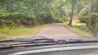 Joida Jungle - Scary jungle drive #joida#karnataka#jungle#fundrive