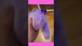 purple kitten💜fioletowy kotek