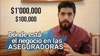&iquest;C&oacute;mo ganan dinero las aseguradoras? | El Barb&oacute;n Financiero
