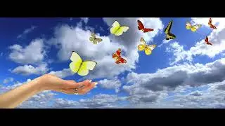 Letting Go Of Physical Things Exercise
