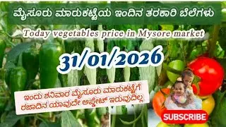 Mysore Apmc Vegetable Rates Today ll 31/01/2026