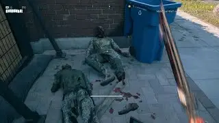 Dead Island 2 bug