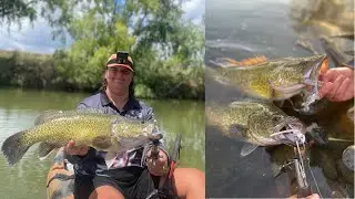 Murray Cod Madness! - Kayak Fishing Australia