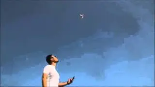 ONAGOfly talk off and land from palm