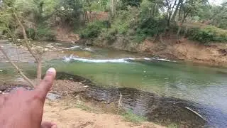 Guanacaste National Park Vlog jungle oasis in paradise Travel Guide #swim #hike #mustvisit