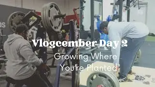 Vlogcember Day 2: Grow Where You Are Planted