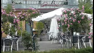 Frank Bergmann und Miriam Geier: Filmmusik
