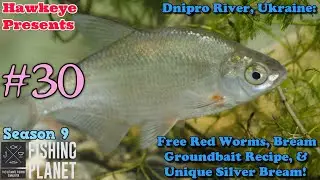 Fishing Planet S9 #30 - Free Red Worms, Bream Groundbait Recipe, & Unique Silver Bream!