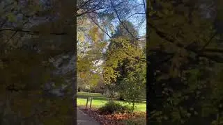 Come walk with me #naturelovers #autumn #nature #ytshorts #travelvloguk #shorts #uk #walking #viral