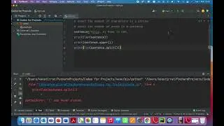 Python-Length of sentences