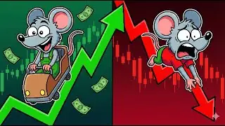 The Stock Market Explained Simply 📈