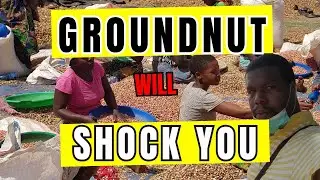 Groundnut Business in Nigeria 2025: Oil, KuliKuli & Export &ndash; 1 Crop, Many Profits