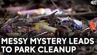 Turn to Ted: Messy mystery leads to park cleanup